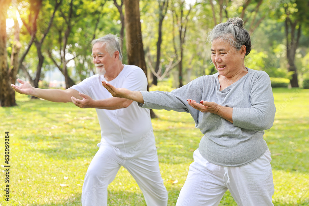Asian senior couple practice yoga excercise, tai chi tranining, stretching and meditation together with relaxation for healthy in park outdoor after retirement. Happy elderly outdoor lifestyle concept Stock Photo | Adobe Stock