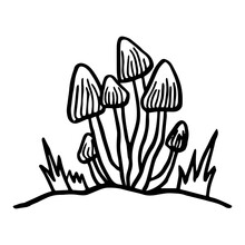 Mushrooms In The Forest. Hand Drawn. Isolated On Whine.