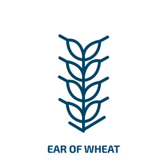 Poster - ear of wheat icon from food collection. Thin linear ear of wheat, farm, grain outline icon isolated on white background. Line vector ear of wheat sign, symbol for web and mobile
