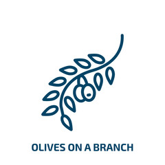Poster - olives on a branch icon from ecology collection. Thin linear olives on a branch, branch, olive outline icon isolated on white background. Line vector olives on a branch sign, symbol for web and mobile