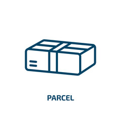 Poster - parcel icon from delivery and logistic collection. Thin linear parcel, shipping, cargo outline icon isolated on white background. Line vector parcel sign, symbol for web and mobile