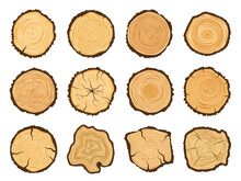 Tree Trunk Cross Section. Round Pine Logs, Forest Wood Circle And Tree Rings Vector Illustration Set