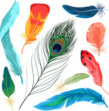 Feathers Set Vector Illustration. Cartoon Isolated Colorful Nature Collection With Beautiful Bright Plumage Decoration Of Different Tropical Birds, Plume Feather From Wing Of Exotic Flying Animals