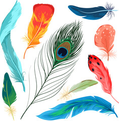 Feathers set vector illustration. Cartoon isolated colorful nature collection with beautiful bright plumage decoration of different tropical birds, plume feather from wing of exotic flying animals