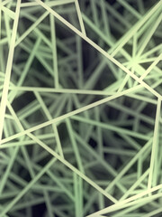 Poster - Abstract geometric pattern with depth of field effect. Modern background. 3d rendering digital illustration
