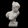 © Mikhail Makarenko - plaster statue of an antique woman on a black background
