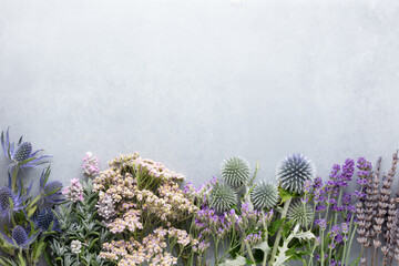 Poster - Homeopathy tea ingredients with various fresh herbs and flowers, on pastel background, top view, frame.