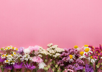 Wall Mural - Alternative medicine. Medicinal herbs flowers, on a pastel background. Top view, copy space, banner.