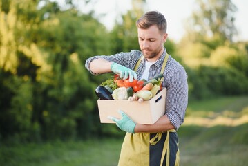 Canvas Print - farmer carrying box of picked vegetables