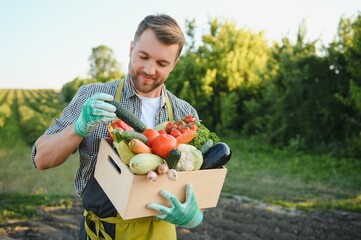 Canvas Print - Farmer hands holding wooden box with different vegetables