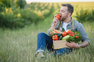 Wall Mural - Male farmer holding box with vegetables in field