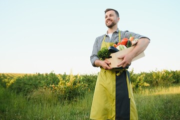 Canvas Print - A male farmer with a box of fresh vegetables walks along her field. Healthy Eating and Fresh Vegetables