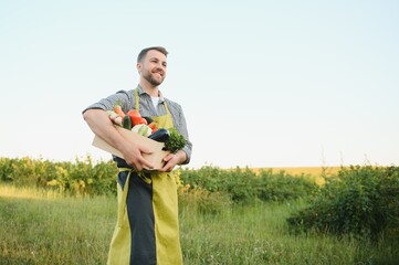 Wall Mural - A male farmer with a box of fresh vegetables walks along her field. Healthy Eating and Fresh Vegetables