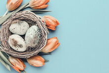 Easter Eggs In The Nest. Spring Greeting Card.