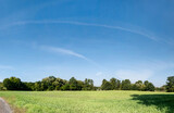 Fototapeta Tęcza - Pojedyncze chmury na niebie w krajobrazie wiejskim pośrodku obszarów wiejskich i pola, pora letnia Opolszczyzna, błękitne barwy