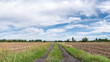 polna droga pośrodku łąk i pól, krajobraz wiejski w rejonie zachodniej polski a w tle zielone drzewa błękitne niebo z umiarkowanym zachmurzeniem