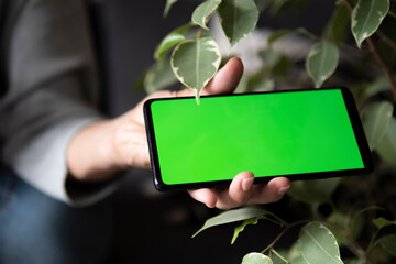 Wall Mural - Female hand holding smartphone in horizontal position. Woman hand showing blank mobile phone with green screen copy space