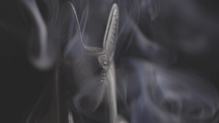 Poster - stone statue of egyptian god anubis in smoke on black background