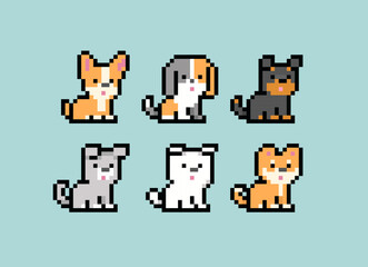 Poster - Pixel Dogs Puppy vector collection. Pixel Art kawaii style pet. Cute Corgi and Shiba Inu puppies in 8-bit retro computer game style. Pixel animal pet vector illustration