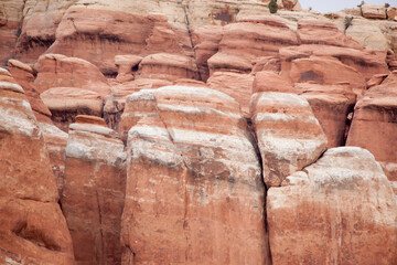 Wall Mural - Red Rock Formations in the desert of Utah