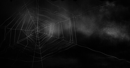 Image of spiders web over stormy, dark halloween sky