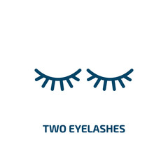 Poster - two eyelashes icon from beauty collection. Thin linear two eyelashes, eyelash, makeup outline icon isolated on white background. Line vector two eyelashes sign, symbol for web and mobile