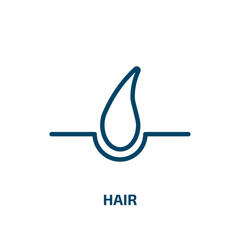 Poster - hair icon from beauty collection. Thin linear hair, beauty, care outline icon isolated on white background. Line vector hair sign, symbol for web and mobile