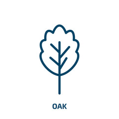 Poster - oak icon from nature collection. Thin linear oak, eco, ecology outline icon isolated on white background. Line vector oak sign, symbol for web and mobile