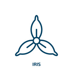 Poster - iris icon from nature collection. Thin linear iris, idea, simple outline icon isolated on white background. Line vector iris sign, symbol for web and mobile