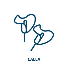 Poster - calla icon from nature collection. Thin linear calla, floral, plant outline icon isolated on white background. Line vector calla sign, symbol for web and mobile