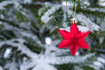 Wall Mural - red star on snow covered pine branch .christmas background.