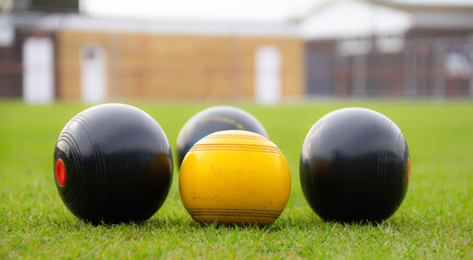 Wall Mural - Crown green bowling balls, collected around the yellow Jack in a bowling competition outdoors in the UK