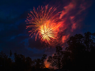 orange fireworks exploding over trees.