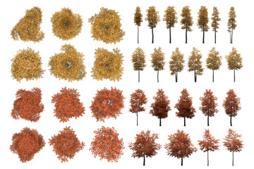 Wall Mural - Pack of PNG vegetation. +6K. Autumn Trees. Made from 3D model for compositing