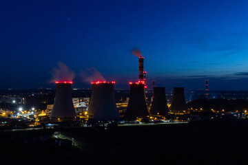 plant at night