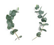 Leinwandbild Motiv Eucalyptus leaves frame on white background with place for your text. Wreath made of leaf branches. Flat lay, top view