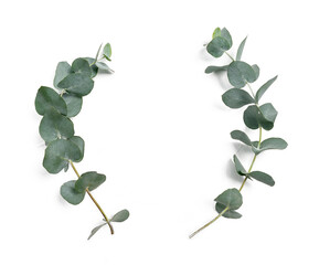 Fototapete - Eucalyptus leaves frame on white background with place for your text. Wreath made of leaf branches. Flat lay, top view