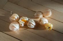 Physalis Peruviana Ripened Orange Yellow Cape Gooseberry Goldenberry Edible Tasty Ingredient Fruits Spread On Wooden Background