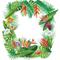 Wall Mural - Frame from tropical plants and flowers