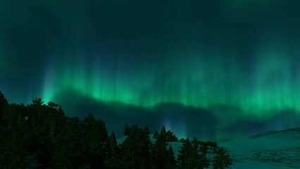 Wall Mural - a beautiful green and red aurora dancing over the hills.