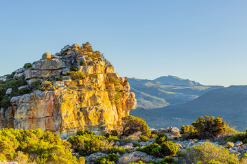 Wall Mural - Rugged mountain landscape with fynbos flora in Cape Town.