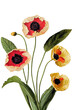 Flowers poppy watercolor illustration. White background isolated