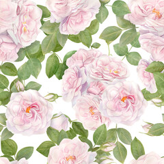  Hand drawn watercolor seamless pattern with pink rose flowers.