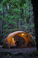 Wall Mural - camping in the forest