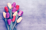 Fototapeta Tulipany - Multicolored spring flowers, tulip on a gray background.