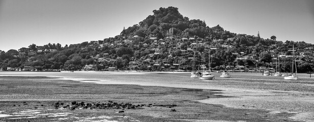 Wall Mural - Beautiful coastline of Coromandel, New Zealand