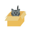 Cat in pasteboard box. Kitten. Flat, cartoon, vector