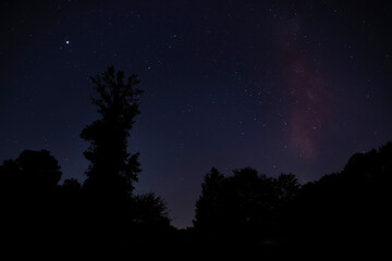 Wall Mural - Calm night filled with stars