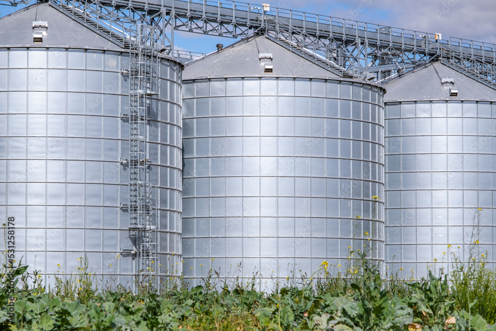 Agro silos granary elevator with seeds cleaning line on agro-processing ...