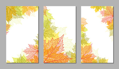 Wall Mural - set of abstract backgrounds. botanical art. floral vector templates with autumn leaves. plant print 